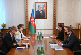   Azerbaijani FM receives German ambassador to Azerbaijan   