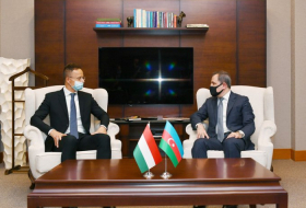   Jeyhun Bayramov meets with his Hungarian counterpart   