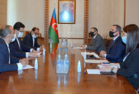  Azerbaijani FM met with Secretary General of the Turkish Council 