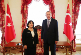   Chairperson of Azerbaijan’s Parliament meets with Turkish President  
