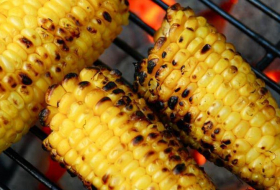   Why are corns not digested by humans?  