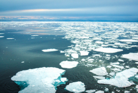 Rising temperatures shrink Arctic sea ice to second-lowest extent in four decades