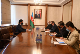   Azerbaijan’s FM meets with Italian ambassador   