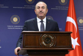   We will be on stage to protect Azerbaijan's rights- Turkish FM  