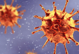 UK coronavirus variant 64% deadlier than previous strains – study