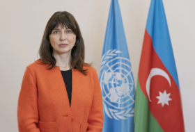 UN actively endorses Azerbaijan's chairmanship at COP29 