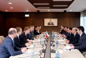  Azerbaijan may involve Czech companies in its 'smart projects' 