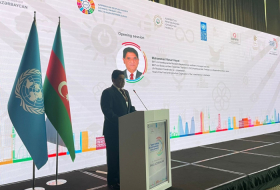  UN affirms commitment to supporting Azerbaijan in achieving SDGs 