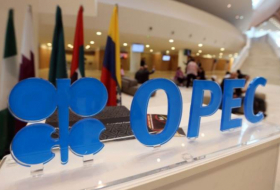 OPEC raises forecast for global oil demand growth in 2023