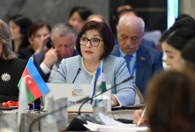 Azerbaijan's parliament speaker briefs on COP29 prep at forum in Uzbekistan