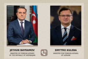 Azerbaijani, Ukrainian FMs discuss strategic partnership