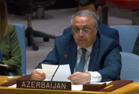  'Armenia needs to abandon false narratives for reconciliation with Azerbaijan' 