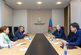 Azerbaijan eyes cooperation with S&P Global Commodity Insights