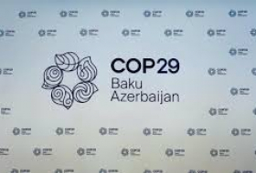   Armenia's agreement to host COP29 in Baku is positive progress - deputy minister  