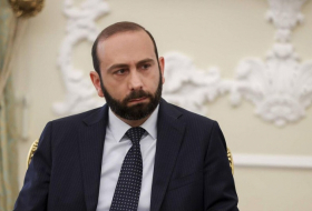 Armenian FM briefs his Estonian counterpart on border delimitation process with Azerbaijan