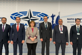 Representatives of Azerbaijan attend NATO PA session