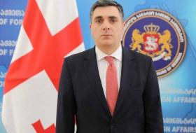 Georgian foreign minister congratulates Azerbaijan on Independence Day