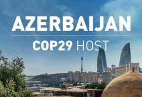 Volunteer registration for COP29 starts