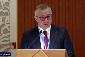 Azerbaijani minister highlights climate, health initiatives ahead of COP29 at World Health Assembly