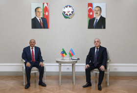Azerbaijan, Ethiopia mull expanding relations in various areas