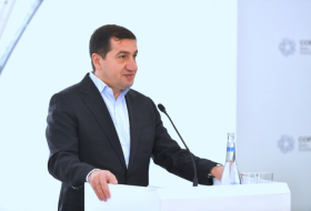   Hikmet Hajiyev: If we succeed as the host of COP29, it will be beneficial for the entire world  