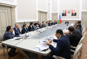 Cabinet of Ministers discusses issues of Nakhchivan's socio-economic development 