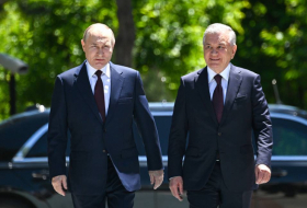 Russian, Uzbek presidents start negotiations in Tashkent