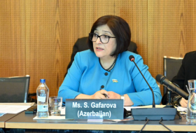 Speaker of Azerbaijan’s Milli Majlis highlights challenges in ensuring gender quality at Geneva conference