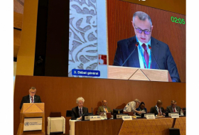   Azerbaijani minister highlights climate, health initiatives ahead of COP29 at World Health Assembly   