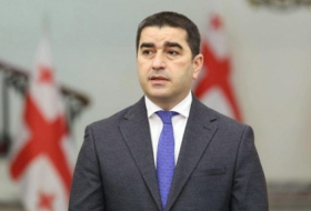 Georgian parliament speaker signs foreign agents bill
