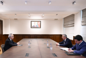 Head of Azerbaijani Presidential Administration meets with IEA Executive Director
