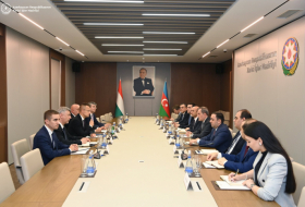 Azerbaijan, Hungary hold next meeting of Strategic Dialogue