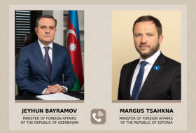 Azerbaijan, Estonia discuss prospects for cooperation