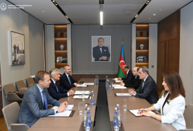  Azerbaijan's COP29 presidency offers additional co-op chances with Poland - FM 