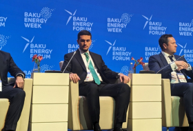 Azerbaijan's Nakhchivan to export green energy to Türkiye, EU