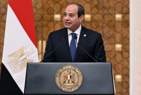   President of Egypt: Talks with President of Azerbaijan serve to strengthen bilateral relations  