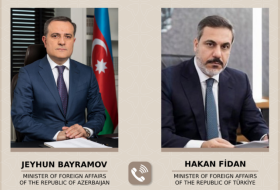 Azerbaijani, Turkish FMs mull regional issues over phone