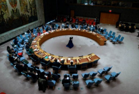   UN Security Council adopts resolution supporting US proposal for cease-fire in Gaza  