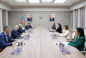 Azerbaijani PM meets with Albanian Deputy PM