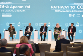   Baku-hosted High-Level Meeting features discussions on balancing, mitigation, adaptation and resilience  