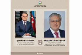   Azerbaijani FM discusses regional issues with his Pakistani counterpart  