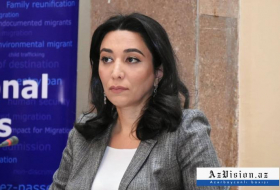   Int'l organizations must not remain indifferent to Armenia's mine terror: Azerbaijani ombudsperson   