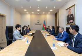 Azerbaijan, China discuss cooperation in field of energy storage systems