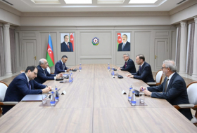 Azerbaijani PM meets with German Knauf Group delegation 