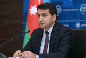   Hikmet Hajiyev: We advise individuals in Armenia's political-military leadership to abandon revanchist dreams  