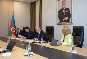  Azerbaijan, IEA agree on cooperation within COP29 
