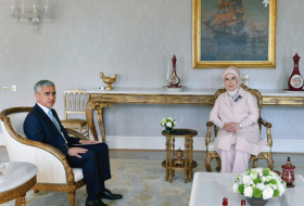 Assistant to Azerbaijani President Anar Alakbarov meets with Turkish First Lady Emine Erdogan