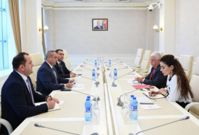 Azerbaijan-Brazil interparliamentary relations discussed
