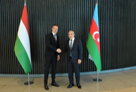 Hungarian MVM joins dev't of Azerbaijan's Shah Deniz gas field 