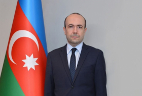   Azerbaijan, Bulgaria maintain dynamic relations - Deputy FM   